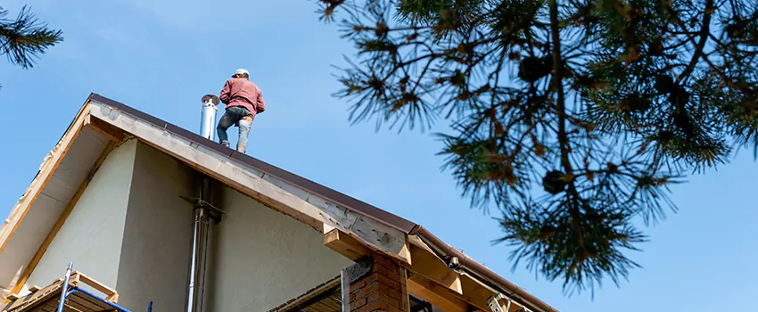 Birds Removal Contractors from Chimney in Cherry Hill, VA
